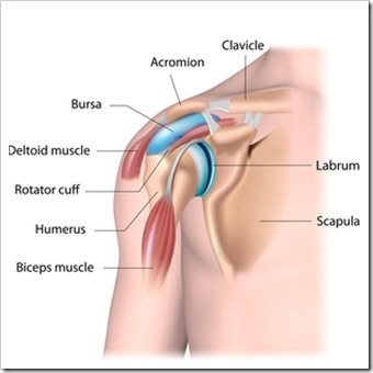 Shoulder Pain Mauldin SC Rotator Cuff Injury