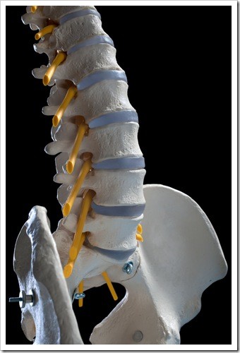 Herniated Disc and Back Pain Mauldin SC